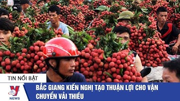Bắc Giang kiến nghị tạo thuận lợi cho vận chuyển vải thiều - VNEWS