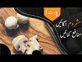 Mushroom Farming in Pakistan - کھمبی کی کاشت - (Mushroom Training - Part 1)