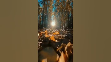سورة المائدة الآية(74) #أفلا_يتوبون_إلى_الله #القارئ_عبدالرحمن_مسعد