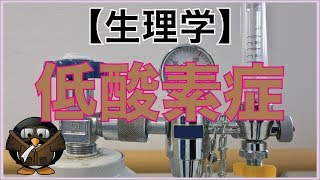 【生理学】パイロットを最悪死に追いやる低酸素症の種類4種！