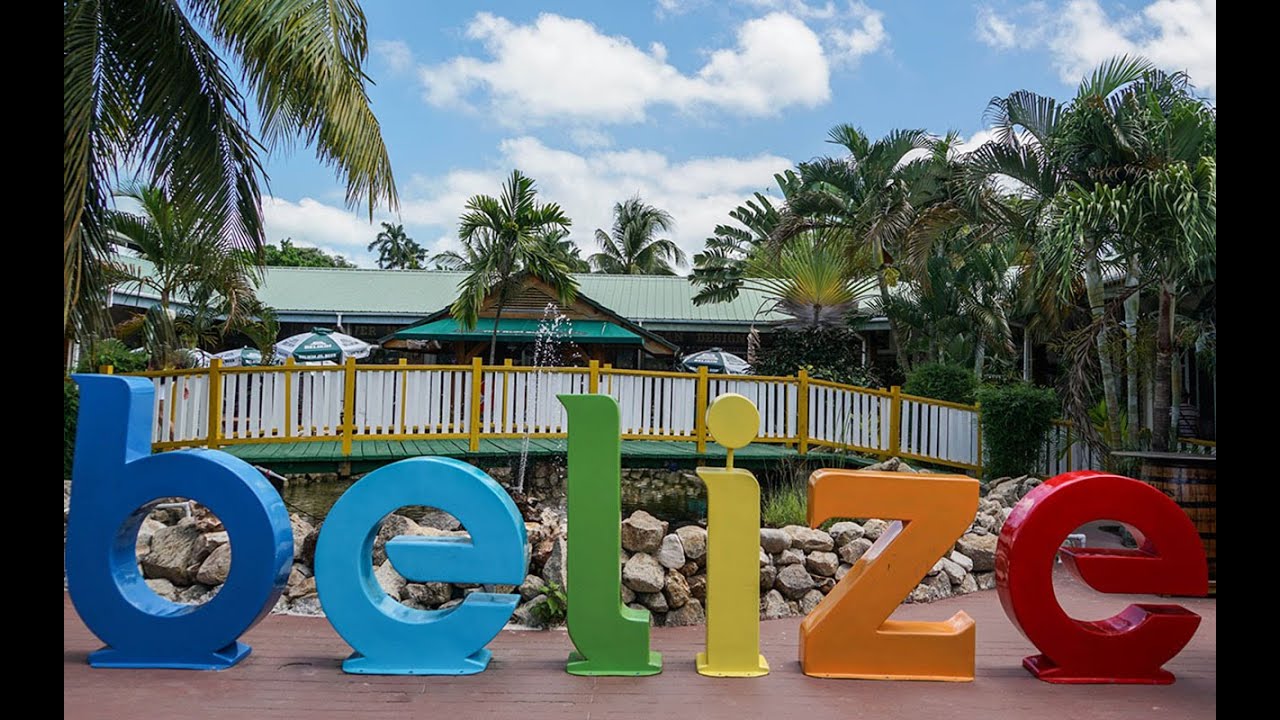 Obejrzyj Carnival Vista Monkey Tour in Belize City, Belize w YouTube Obejrzyj Carnival Vista Monkey Tour in Belize City, Belize w YouTube