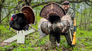STRUT ZONE GOBBLER! (Public Land Turkey Hunting!)