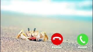 THAI SONG Crab Dance iPhone Ringtone