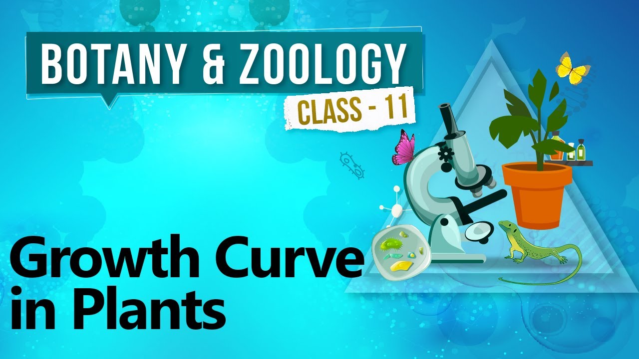 Growth Curve in Plants Plant Growth and Development Biology Class
