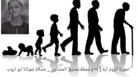 الله الذي خلقكم من ضعف ثم جعل من بعد ضعف قوة _ سورة الروم آية { ٥٤ } المنشاوي