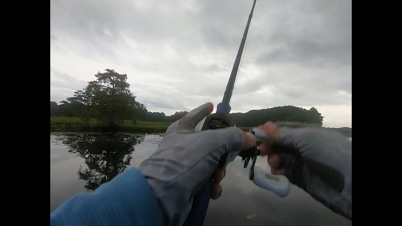 Chickahominy River Bass Fishing in calm conditions