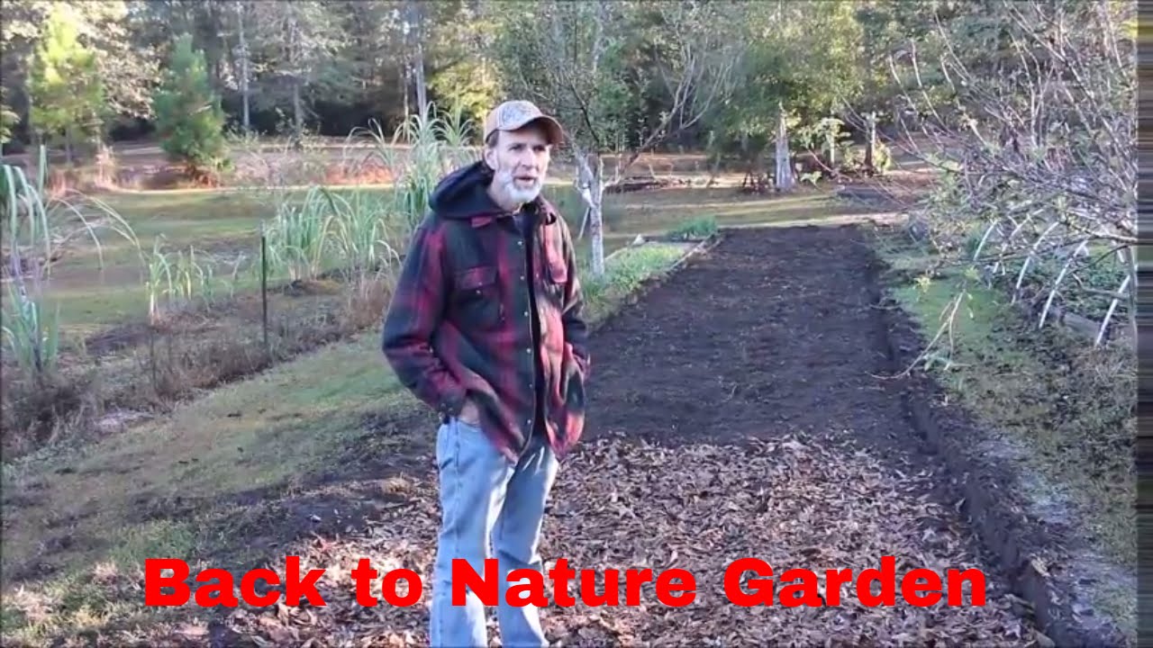Back to Nature Garden - YouTube