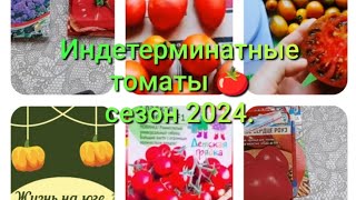 Индетерминатные томаты для открытого грунта.Какие томаты 🍅 и цветы посажу в 2024году