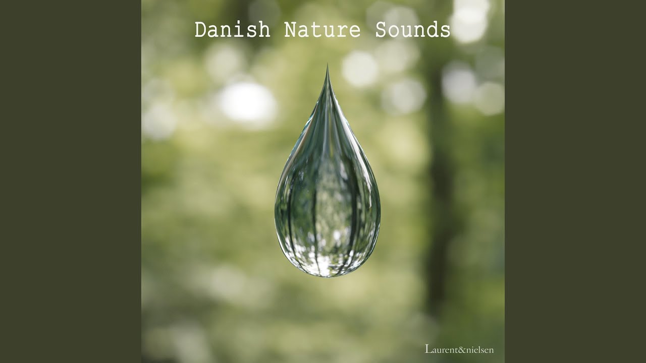 Watch Stream nature sound (Vester Mølle, Denmark) on YouTube Watch Stream nature sound (Vester Mølle, Denmark) on YouTube