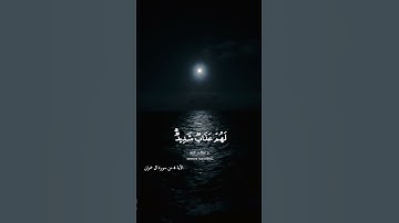 إن الذين كفروا بآيات الله لهم عذاب شديد  - القارئ عبد الرحمن مسعد