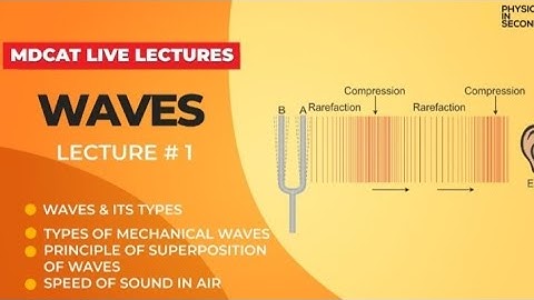 FSC MDCAT Physics | Unit#6 Waves Introduction and types of waves Lecture#1 | Star Academy NUMS #neet
