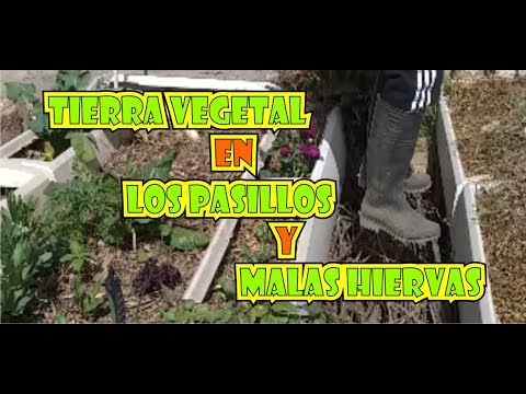 Video: ¿Necesito tierra vegetal?