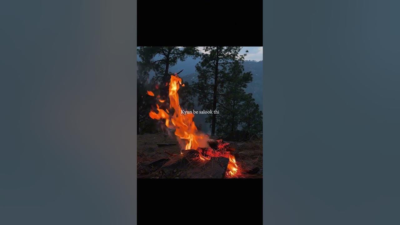 Ranjhna ki Heer tu#song #lyrics #shortvideo #youtube #π€π Ranjhna ki Heer tu#song #lyrics #shortvideo #youtube #π€π