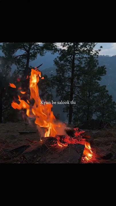 Ranjhna ki Heer tu#song #lyrics #shortvideo #youtube #🤌💓
