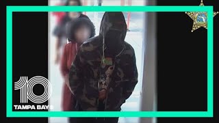 Video shows bank robbery at credit union in Hillsborough County