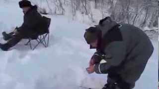 Лиса на рыбалке MOV