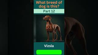 🐾 Guess the Breed Challenge! Part - 12 🐶| Dog Breed  | Dog Lovers