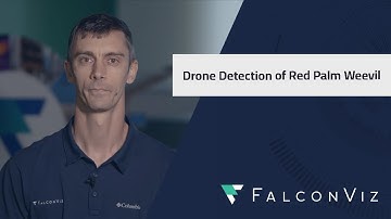 Drone-Based Early Detection of Red Palm Weevil