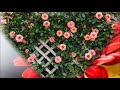 【新曲】妖し花_吉川ひとみ_cover teruchan