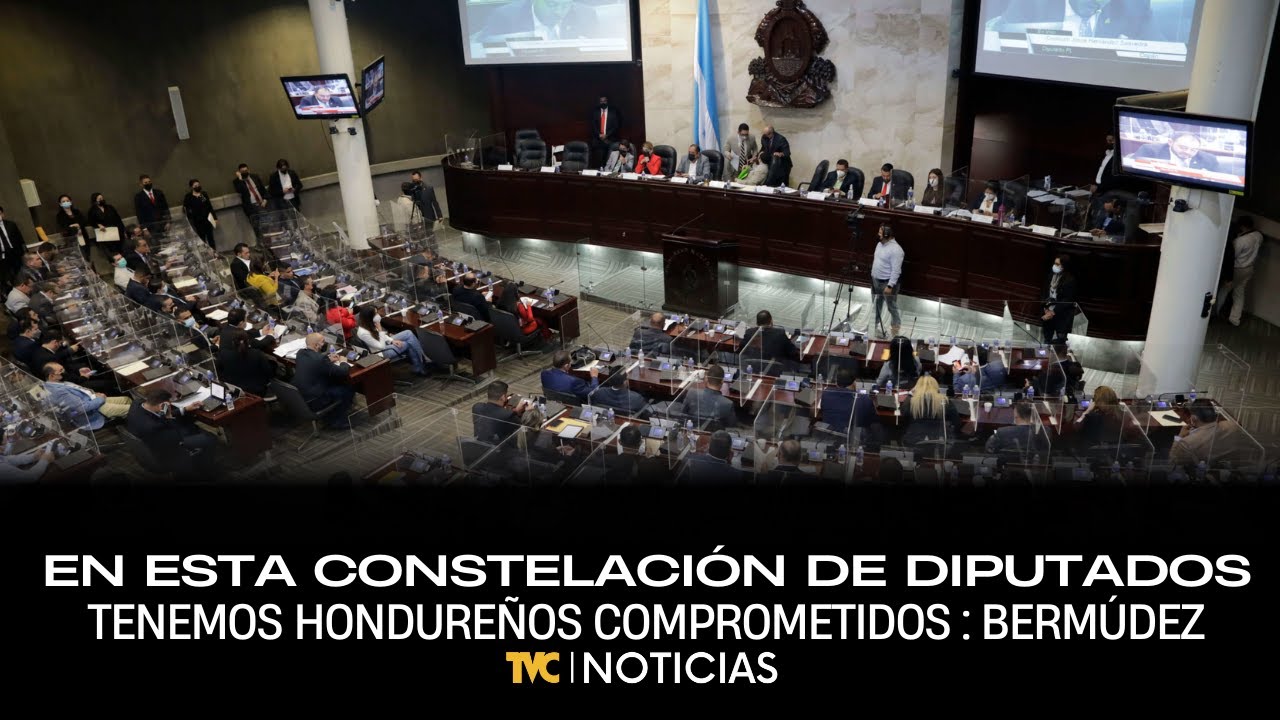 Johana Bermúdez: En esta constelación de diputados tenemos Hondureños comprometidos con el País