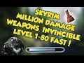 Skyrim MILLION DAMAGE WEAPONS, INVINCIBLE, & LEVEL UP FAST GLITCH!
