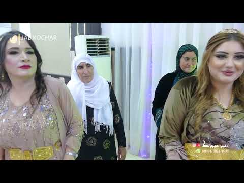 عرس عمر ايهان سردار بروجي كروب تصوير هجار كوجر