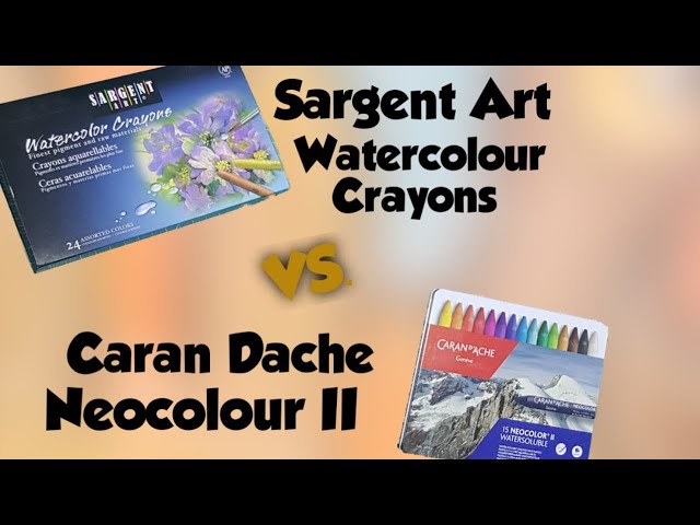 The Caran d'Ache Neocolor II Artists' Water Soluble Crayon Set with Artist  Karlyn Holman 