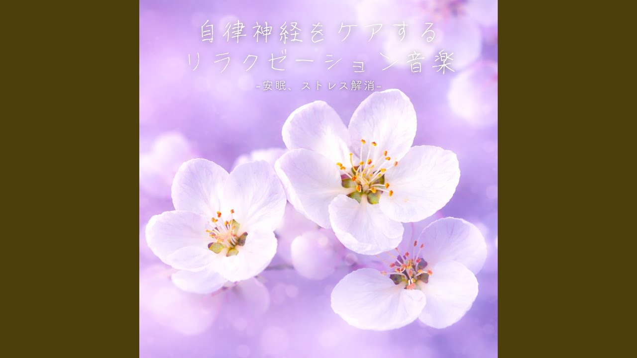 オリジナルヒーリング音楽創ります⭐︎自分を変えて前に進みたい方、自分だけの癒し音楽 心を整えて、なりたい自分になる。 – 癒しの音楽ヒーリングプラザ