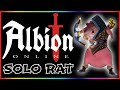 🐀 RATBOW LIFE 🐀 Solo Rat Black Zone Gameplay | Albion Online | Rat Adventures Episode 1