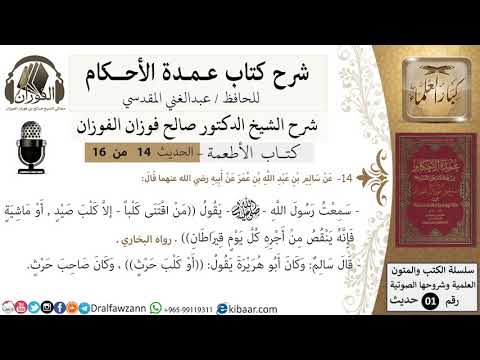 13 من 15 عمدة الأحكام كتاب الأطعمة من اقتنى كلبا إلا كلب صيد أو ماشية الشيخ صالح الفوزان