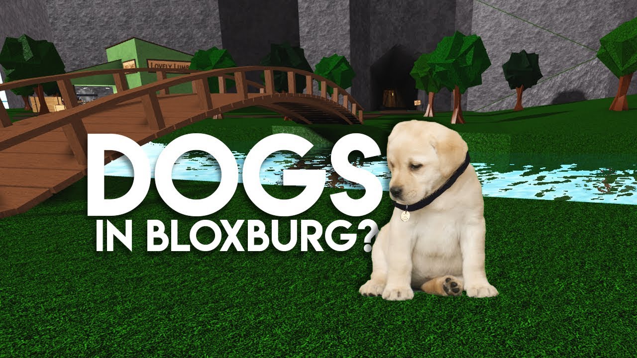 Dog Codes For Bloxburg