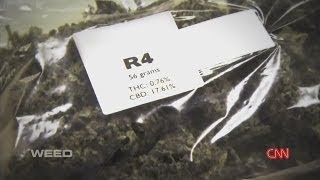 Local family turns to cannabis for help