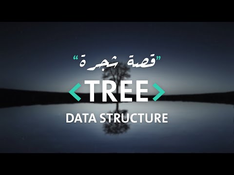 قصة شجرة - مقدمة عن الـ tree data structure