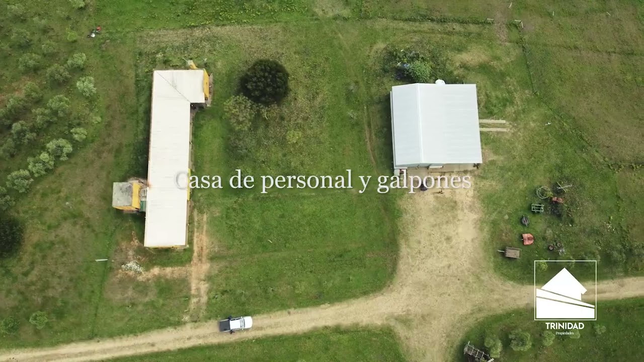 Campos Uruguayos 180hás Altos de Carapé Maldonado