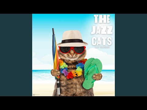 Ver Meowing no YouTube Ver Meowing no YouTube