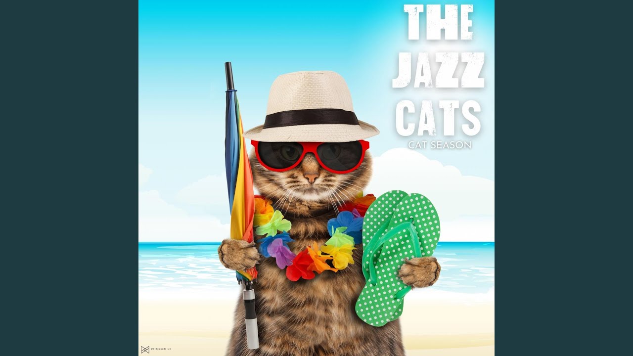 Assista a Meowing no YouTube Assista a Meowing no YouTube