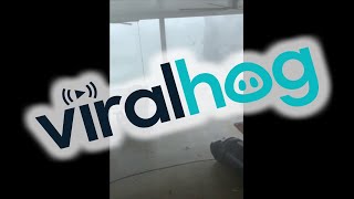 When in the Middle of a Tornado || ViralHog