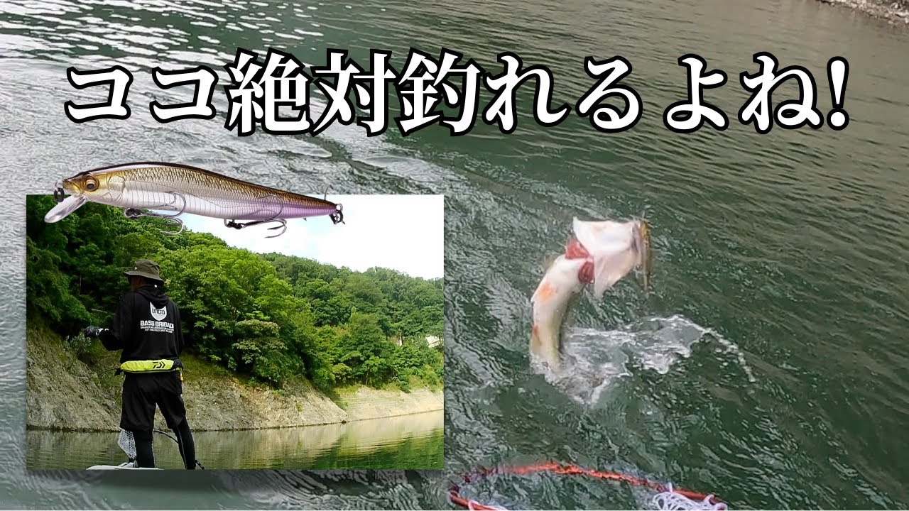 初夏の一庫ダムでスモールとラージがジャークベイトで釣れる！
