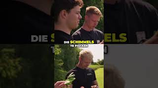 Ja precies, soms moet je gewoon wat proberen hè | Proefveldje seizoen 1