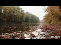 У осени свой релакс/Осенняя река/В осеннему лесу/Осенние листья