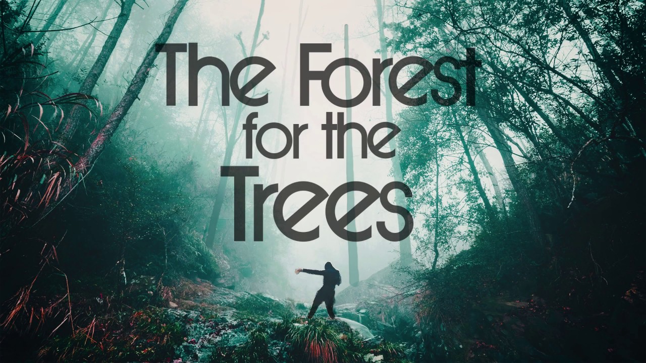 The Forest For The Trees Official Trailer YouTube
