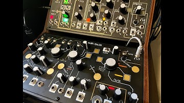 Make Noise Strega + O-Coast