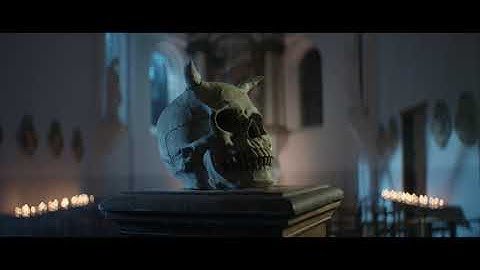 PORTAL - Shot with Laowa, Lupo, Swit and PortaMyst