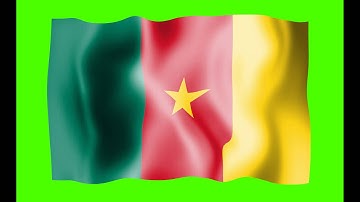 Cameroon Waving Flag Green Screen Animation - Free Royalty Footage