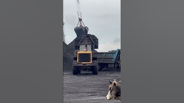 856 LG WHEEL LOADER COAL LOADING VIDEO #reels #video #status #working #viral #loader #viralshorts