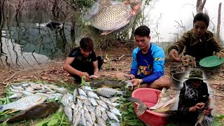 ชมปลาเล่นน้ำหลังฝนตกใหม่ ปลาเยอะมาก//ເບິ່ງປາຫຼິ້ນນ້ຳຫຼັງຝົນຕົກໃຫມ່ | 6 พฤษภาคม ค.ศ. 2024