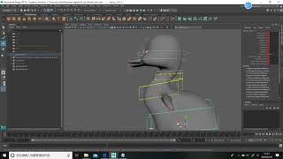 duck rig torso