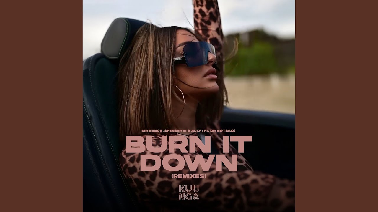 Burn It Down (Radio Edit)