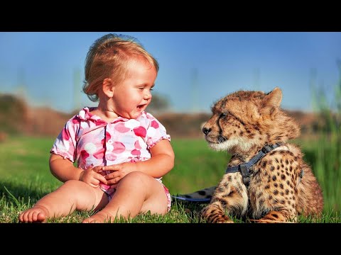 7 Невероятных Домашних Животных, Которыми На Самом Деле Владеют Дети!