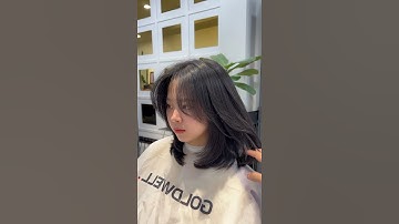 ★ 𝐇𝐮̛𝐨̛́𝐧𝐠 𝐝𝐚̂̃𝐧 𝐜𝐚̆́𝐭 𝐦𝐚́𝐢 𝐛𝐚𝐲 𝐡𝐚̀𝐧 𝐪𝐮𝐨̂́𝐜 𝐭𝐚̣𝐢 𝐧𝐡𝐚̀